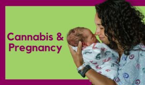 Cannabis & Pregnancy