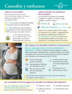 Cannabis y Embarazo